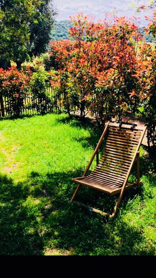 A Fata Di L'Ortolo Gites A La Ferme Sartène Exteriér fotografie